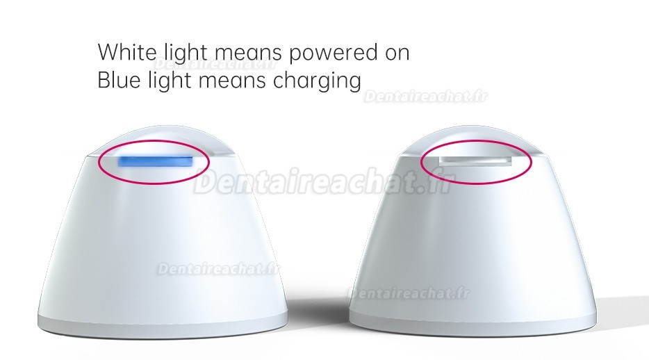 Lampe &agrave; polym&eacute;riser dentaire LED sans fil Mecco Q7, puissance maximale 2500 mW/cm&sup2;